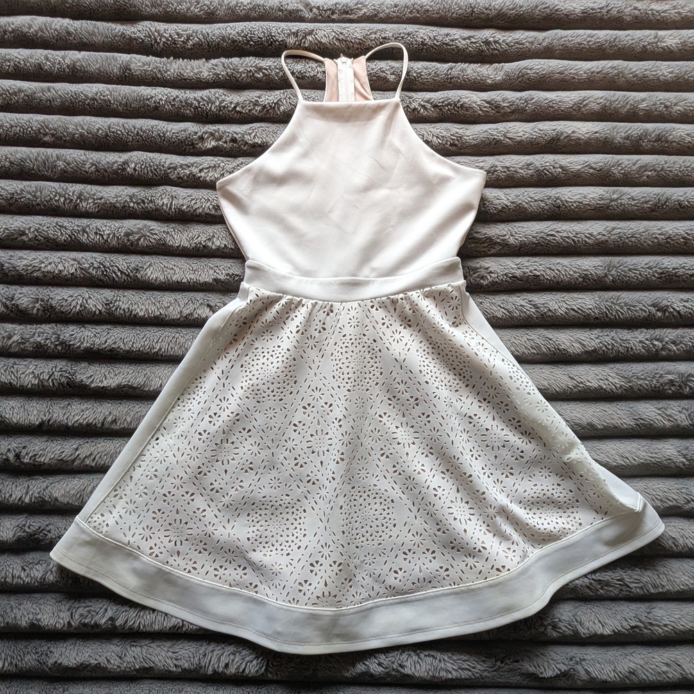 Francesca's Dress